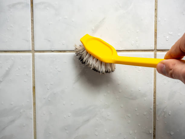 Best Office Mold Removal Services  in Darien, WI
