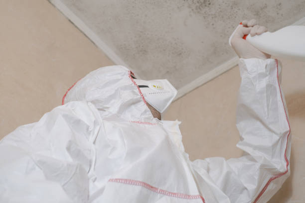 Best Mold Removal Process  in Darien, WI